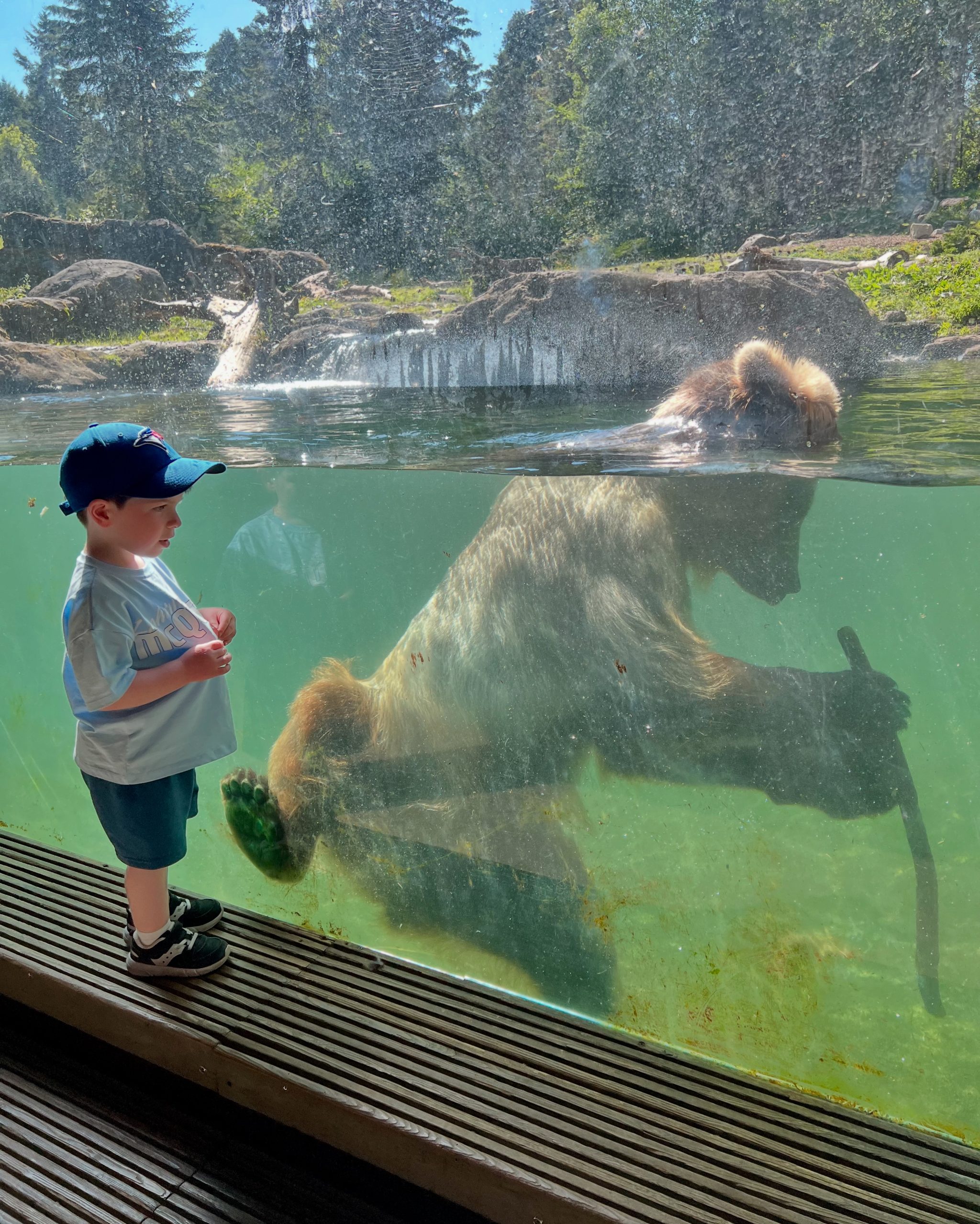 53450584-5782-45D6-A5D6-A686382D9DA5